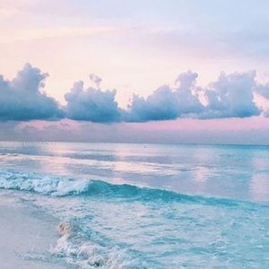 Meet your Posher, Lucy